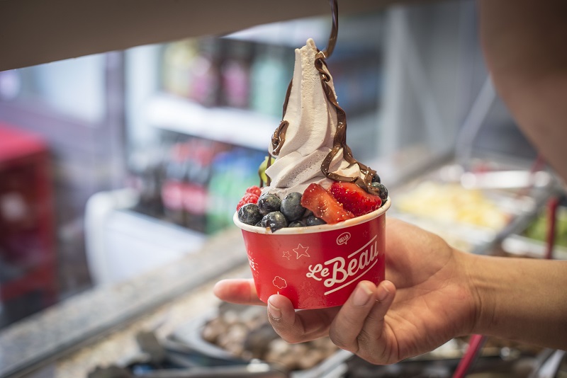 Franchise YOGURT FACTORY Franchise YOGURT FACTORY