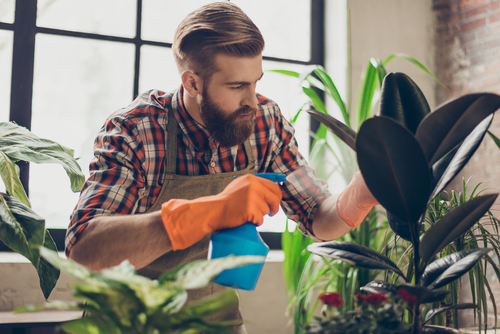 Ces réseaux de fleuristes qui recrutent