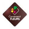 Franchise CARREMENT FLEURS